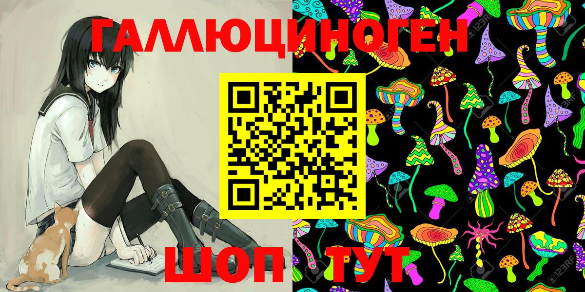 Гусев  Псилоцибиновые грибы Psilocybine cubensis  Галлюциногенные грибы Magic Shrooms  Вход с VPN 