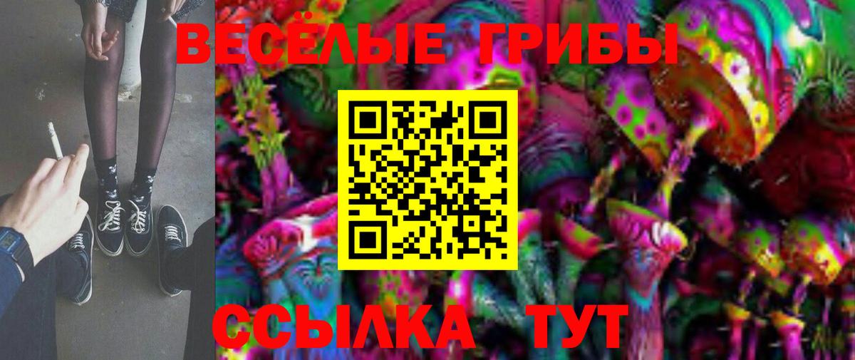 Галлюциногенные грибы GOLDEN TEACHER Гусев