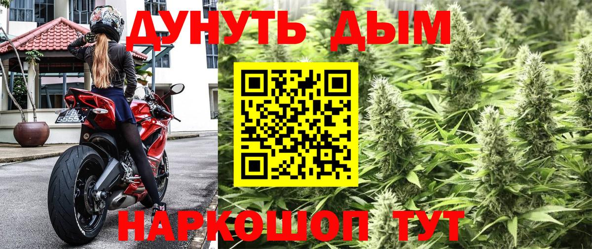 Конопля LSD WEED Гусев
